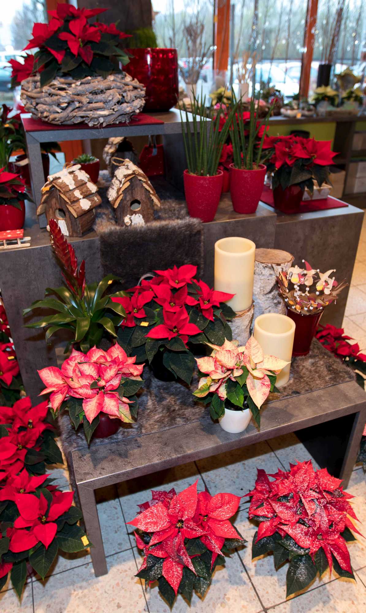 Unsere Weihnachtsgestecke blumengallucci.de
