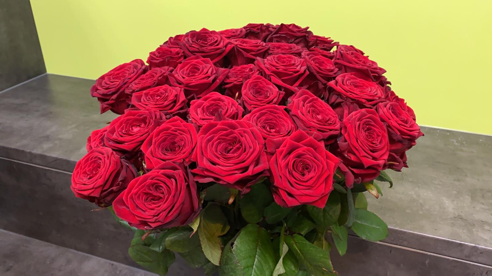 Rosen Valentinstag